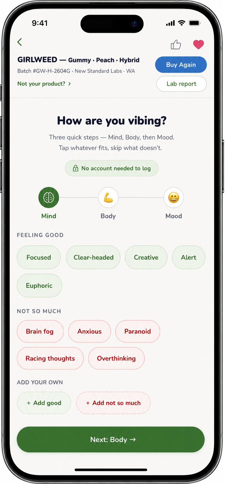 DataBud app — Mind panel showing word bubbles like Focused, Clear-headed, Creative, and Alert.