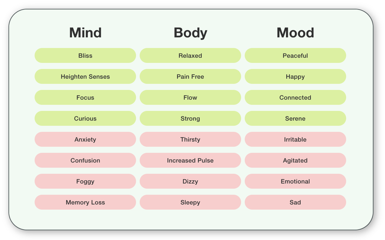 Mind/Body/Mood selection interface